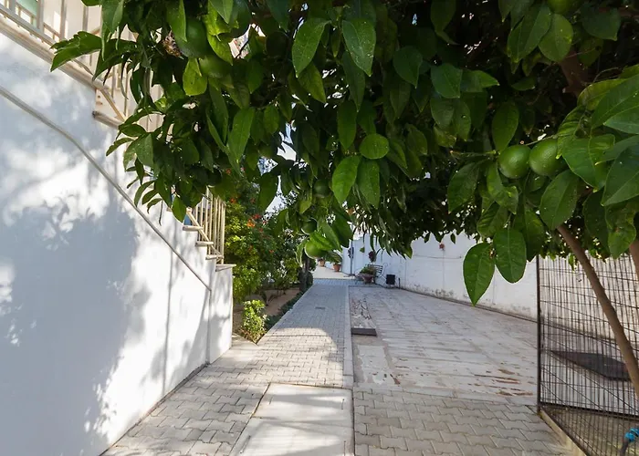 公寓 Special Class Sanctuary Cove B5 Suite *