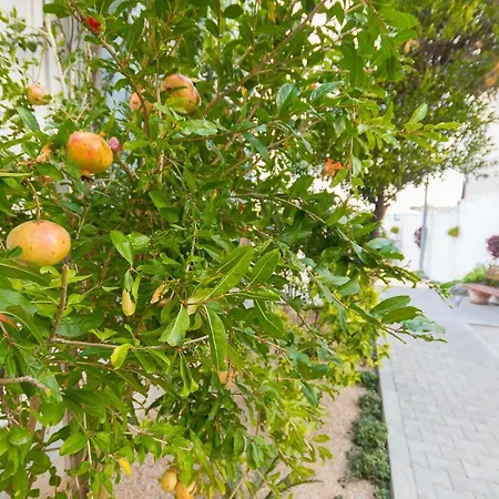 Spacious Sanctuary Cove B5 Duplex With Sea View In Kyrenia Girne *